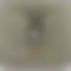 Vom Vater an die Tochter | LEONA