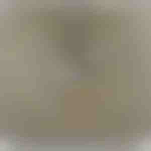 Güzel kızıma – Zirkon kristalli 14 ayar beyaz altın kolye LILLIA