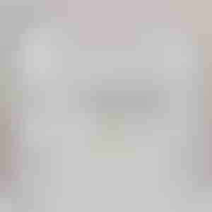 Müstakbel Eşime – Zirkon kristalli 14 ayar beyaz altın kolye DIANA