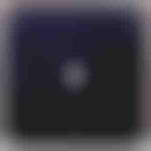 Güzel Eşime – Zirkon kristalli 14 ayar beyaz altın kolye FIORA