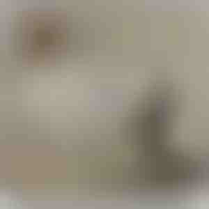 Kızıma –Zirkon kristalli 14 ayar beyaz altın kolye HANA