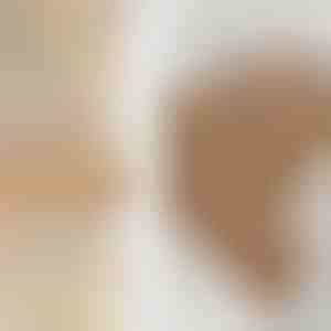 Ring-Set | SPARKLET