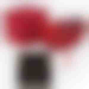 Vom Ehemann an die Ehefrau | ALAYA_CLOVERIE_APPLEROSE