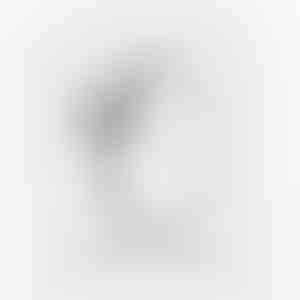 Versprechensring | HEARTISO