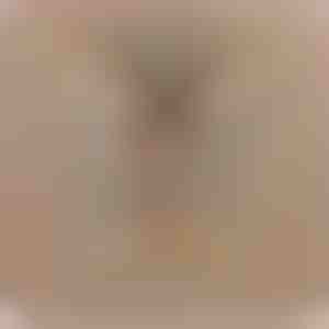 Vom Vater an die Tochter | LEONA_HEARTS